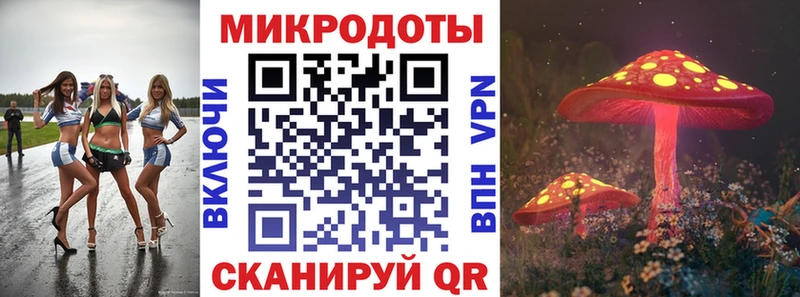 Псилоцибиновые грибы GOLDEN TEACHER  дарнет шоп  mega ТОР  Кириллов 